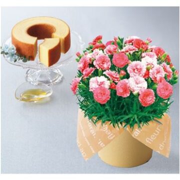 21年 イオンの母の日ギフト プレゼント 予約は5月5日9時まで Waon Info